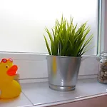 Leeb 아파트 오시아흐